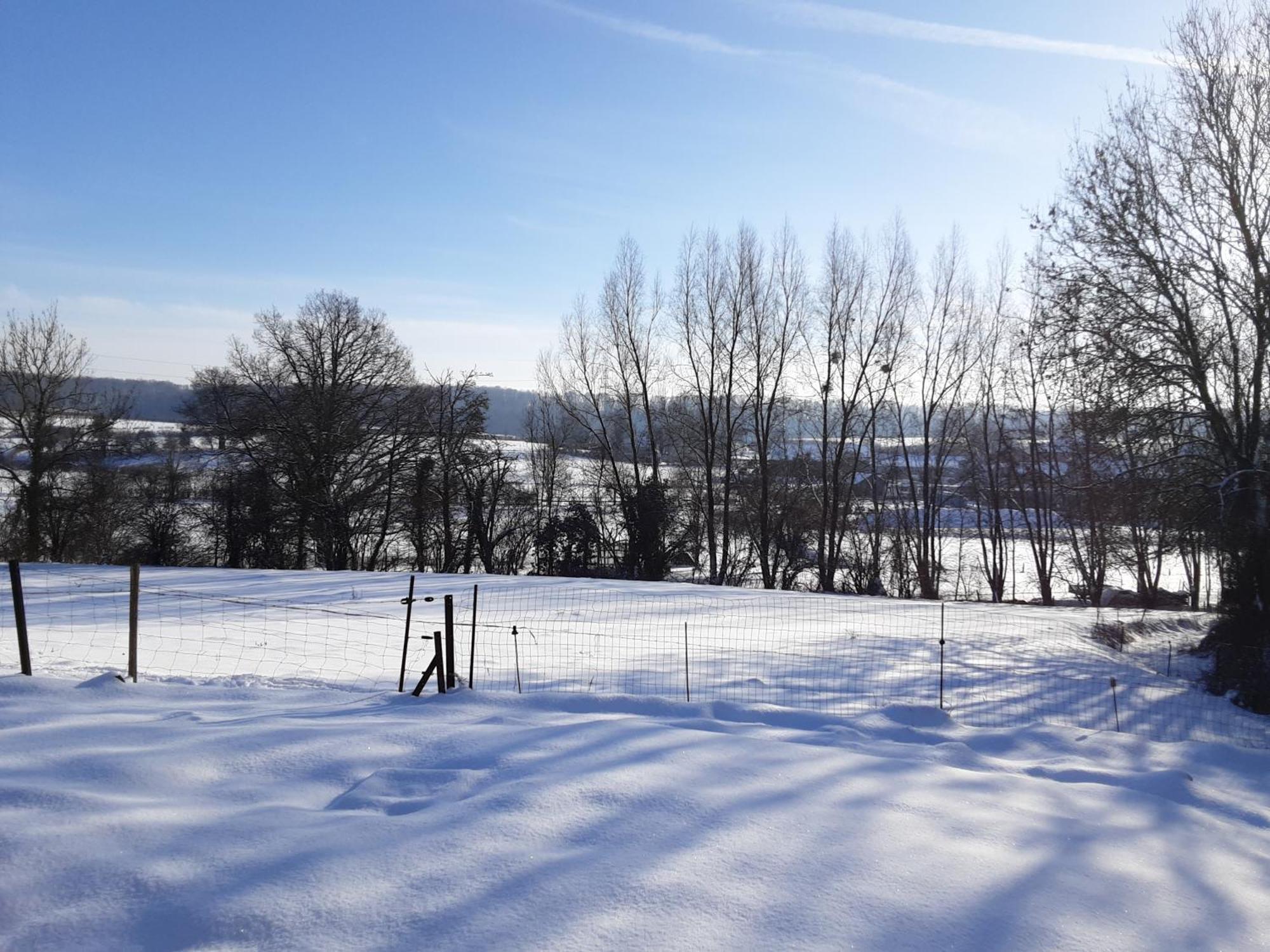 Au P'Tit Pre Des Salers Pensionat Hamois Exteriör bild