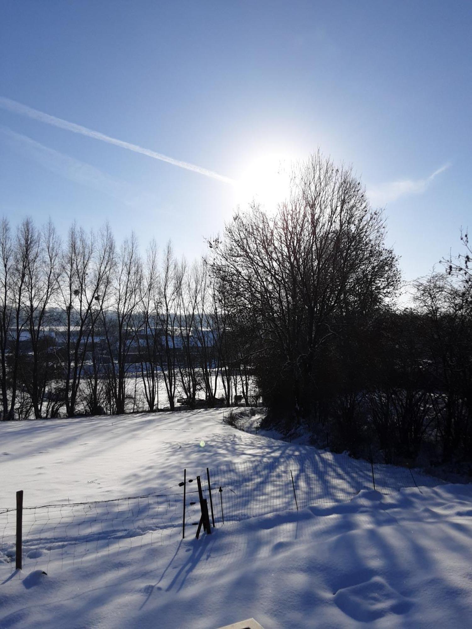 Au P'Tit Pre Des Salers Pensionat Hamois Exteriör bild